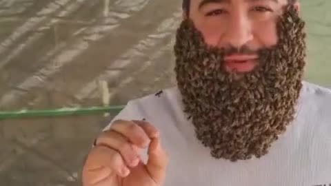 Do not be scared of bees