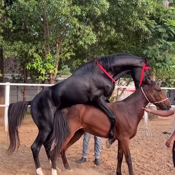 Enjoying without Marriage