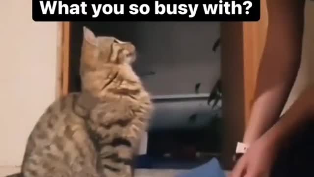 This is why we need cats 🥺🤩