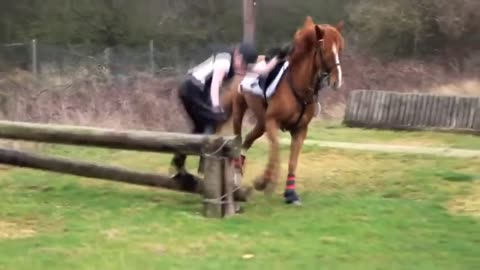 DON'T MESS WITH THE HORSE MAN!!