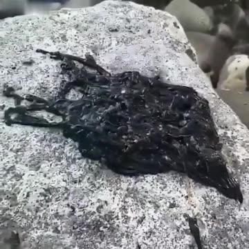 weird wormy looking mass