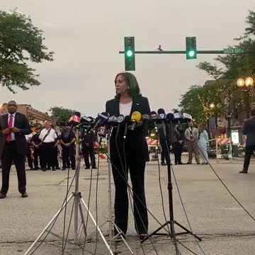 Kamala Launches into Bizarre, Incoherent Anti-Gun Rant in Highland Park