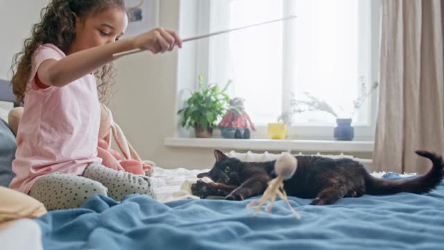 Cute baby and there cats ❤️