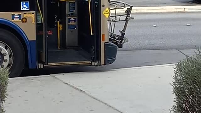 Homeless man tries to steal Metro Bus