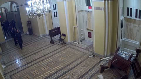 0102USCS01SenateWingDoornearS139_2021-01-07_00h00min00s260ms.mp4