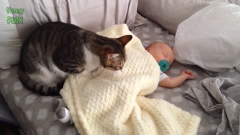 Funny Cats Protecting Babies Compilation