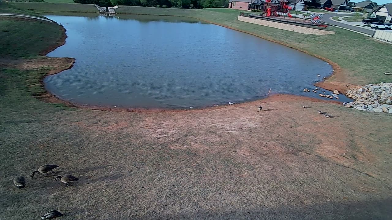 The Pond