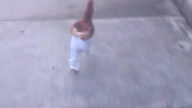 Chicken wearing pants