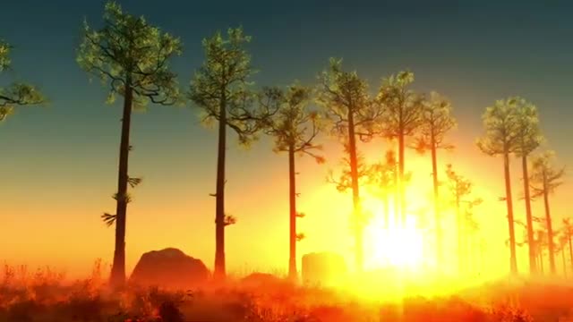 Sunrise relaxing video and music