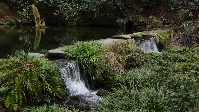 Japanese Zen garden - Meditation ,Relaxation - Healing music with Traditional Flute.