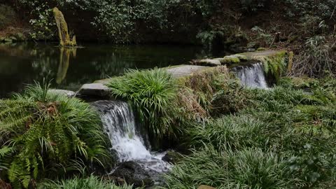 Japanese Zen garden - Meditation ,Relaxation - Healing music with Traditional Flute.