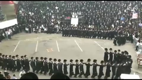 Hava Shalom