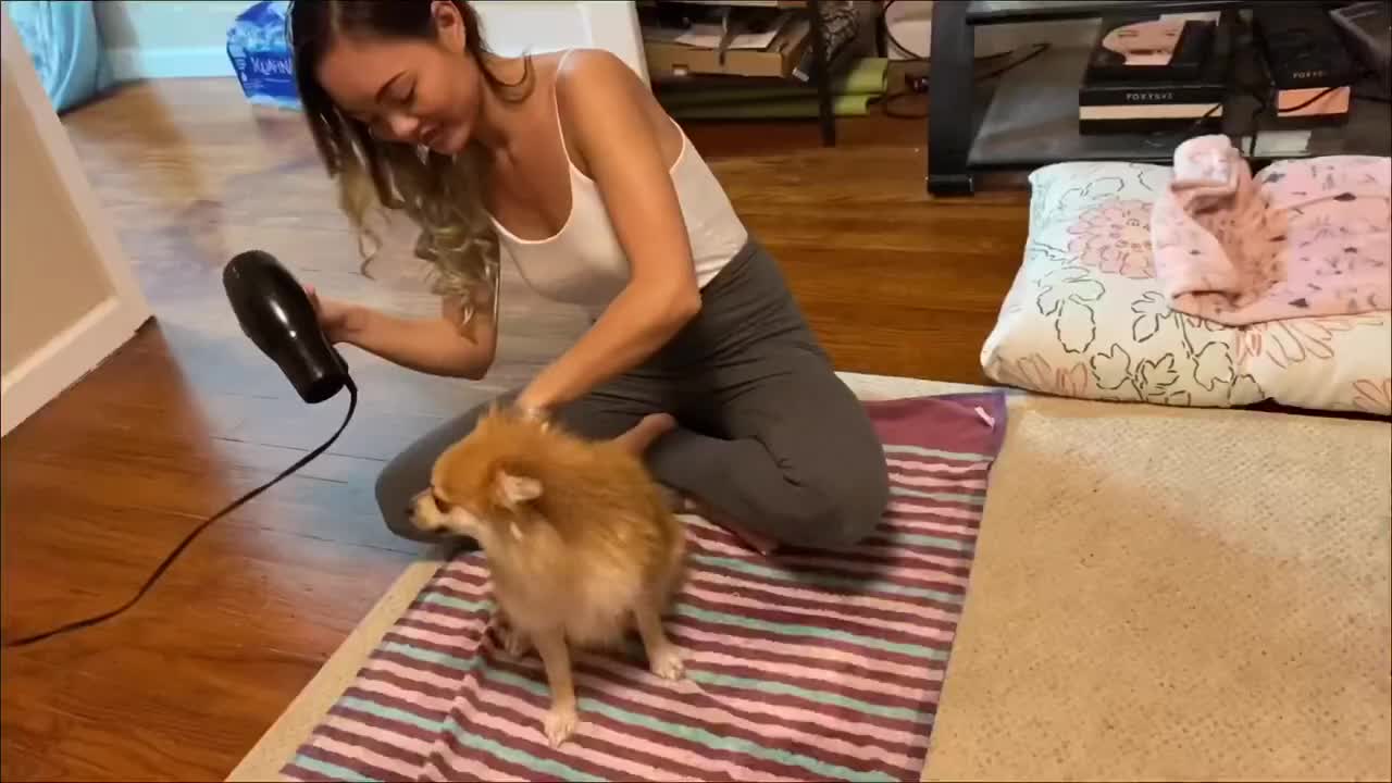 How to Easily Bathe a Dog