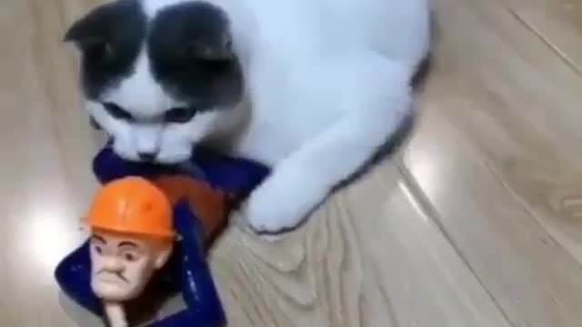 Gun fayrinng is tiring cat