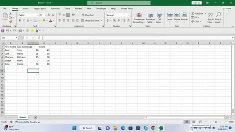 Excel data entry for beginners