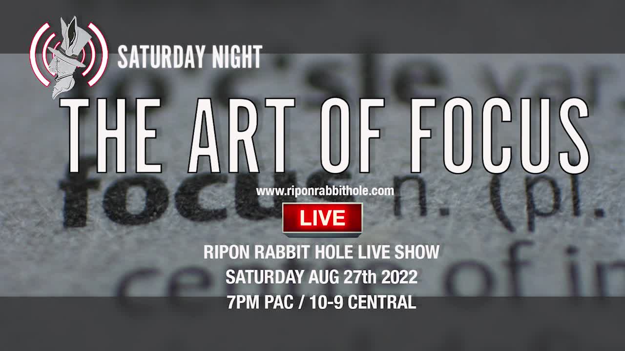 RIPON RABBIT HOLE LIVE – THE ART OF FOCUS