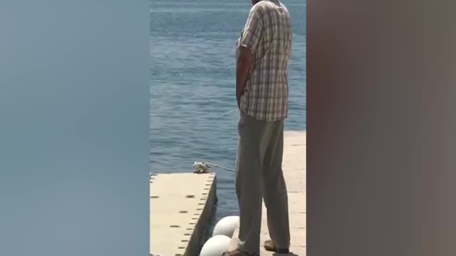 Split: Mokrio sa rive