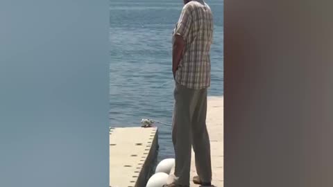 Split: Mokrio sa rive