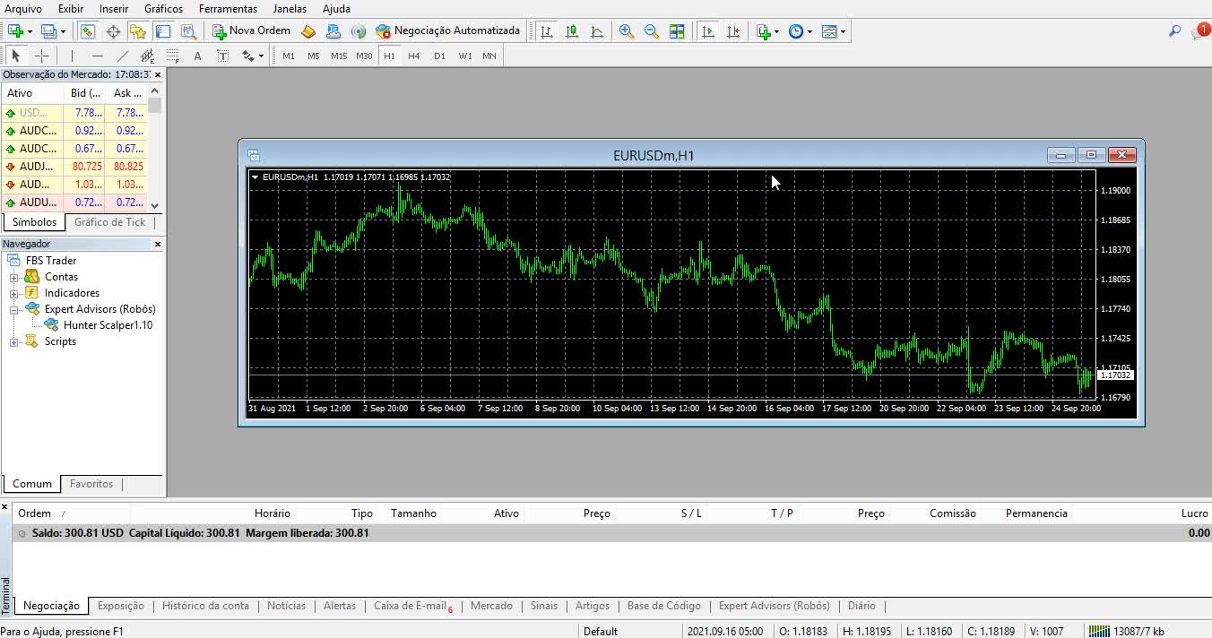 Free Robot Hunter Scalper 1.10 - Forex