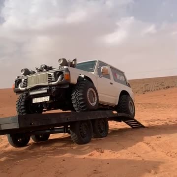 funny|prank|jokes|funny jokes|dad jokes|funny memes|funny video|fun|laughing|funny animal|knock