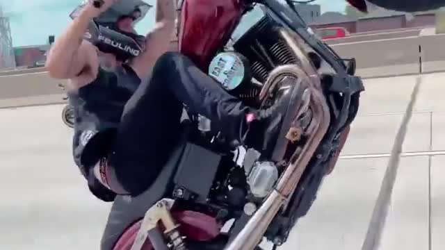 Feel the Fast and the Furious
