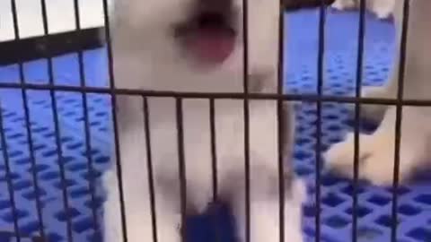 Are you laughing at