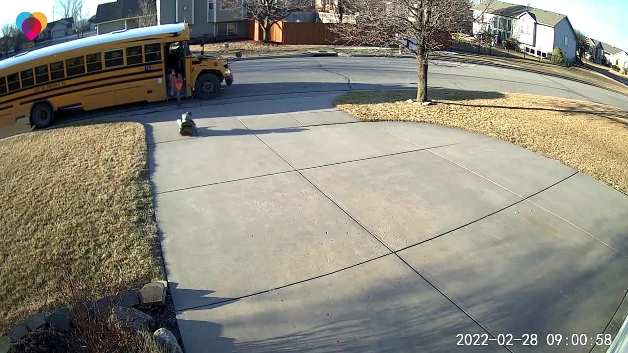 4-year-old has case of the Mondays while getting on school bus for preschool