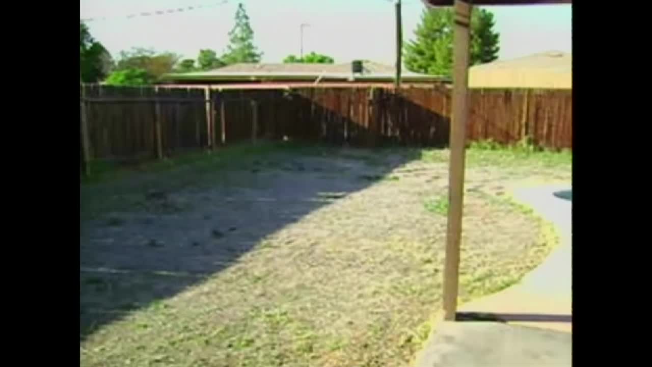 Woman Filming Backyard Accidentally Falls Into The Pool