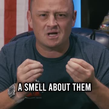 Top 3 Breeds I WOULDN’T Personally Own as a Dog Trainer