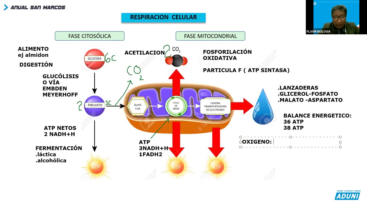 ANUAL ADUNI 2023 | REFORZAMIENTO 03 | BIOLOGÍA TEORÍA