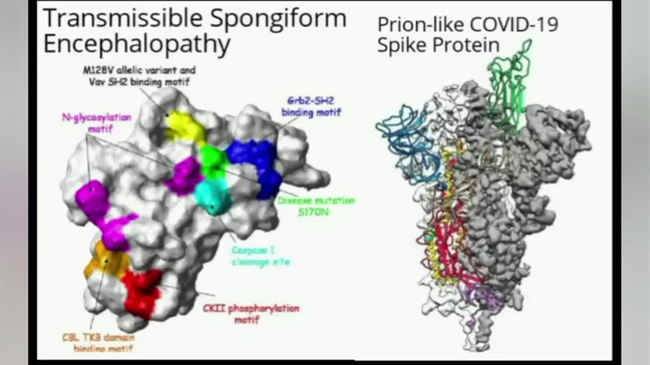 COVID-19 SCAM OFFICE OF LONG COVID RESEARCH ANNOUNCED. LONG COVID = MRNA SICKNESS