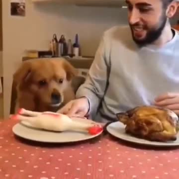 You don't wanna mess with me Hooman