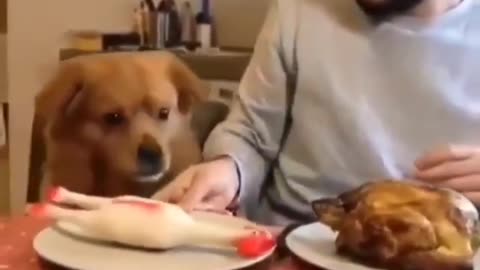 You don't wanna mess with me Hooman