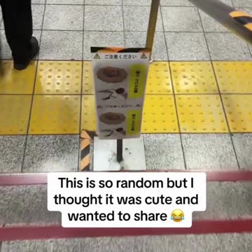 Animal birds & human ?