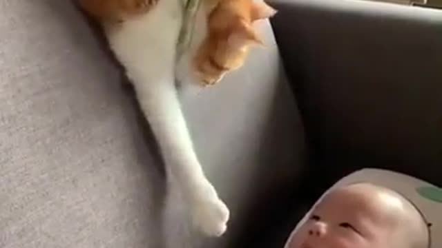 Cat tries to reach out baby's hand