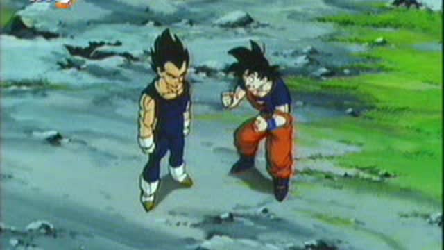 dragonballz 284pl