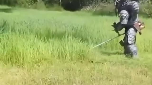 predator mowing the grass in the philippines