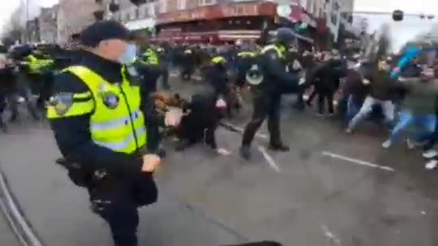 Holland Polizeihunde