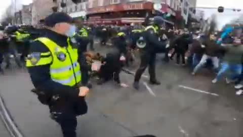 Holland Polizeihunde