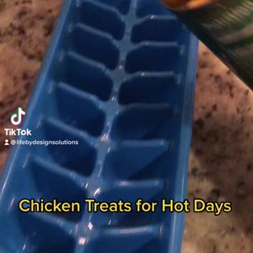 Chicken Treats for Hot Days