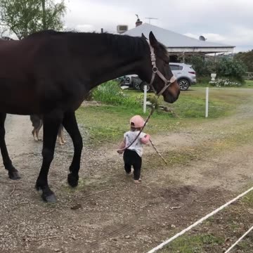 Little girl leads horse 🐎🐎🐎..