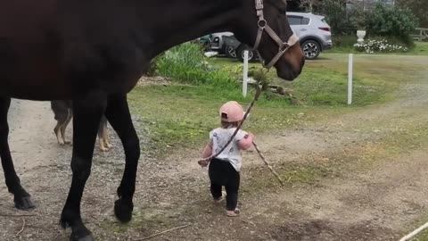 Little girl leads horse 🐎🐎🐎..