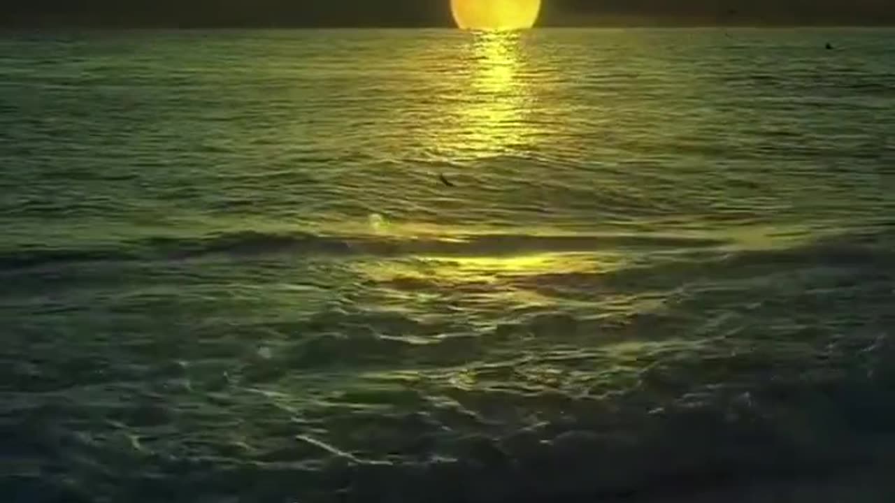 Serene Symphony: Embracing Nature's Calmness