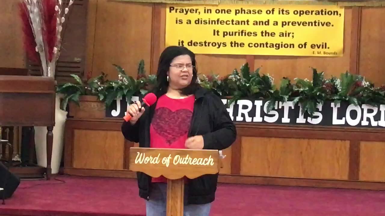 What Does Our Boat Look Like?