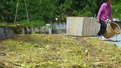 village life|| Making fermented beans, tofu milk and douchi