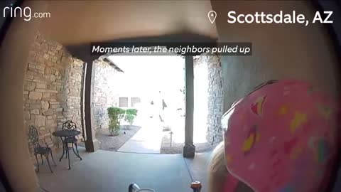 Little Girl Sees Bob Cat Dad Locks Door Forget She's Outside