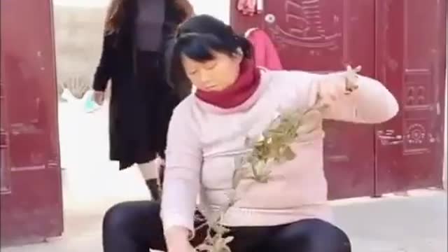 Funny videos collection 2021! Tik Tok Funny Videos Top comedy videos 2021 Try To Not launch funn