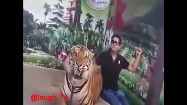 Impossible not to laugh virally funny