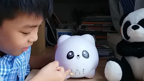 Cute Panda Ultrasonic Diffuser One-Minute Video Quick Start Guide