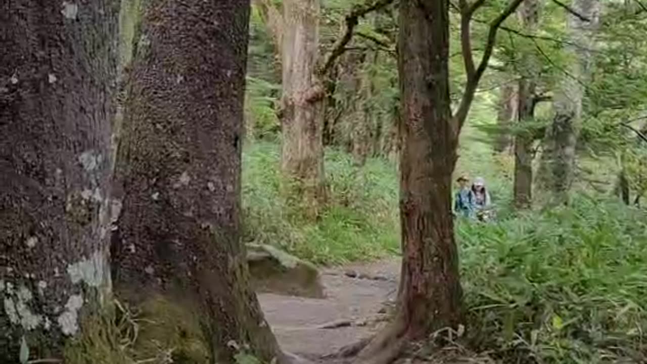 A walk in nature, Kamikochi, Nagano